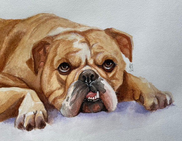 Watercolour dog portrait