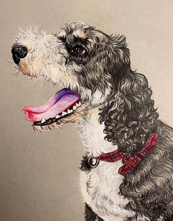 Colour drawing dog portrait